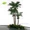 GNW APM028 Best Quality 20ft High Coconut Palm Tree For Park Outdoor Use
