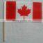 Promotion Country Hand Flag