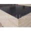 1220*2440 film faced plywood for high building