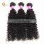 Quality Virgin Hair Bundles with Lace Closure Brazilian Hair Closure Mink Hair Closure