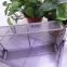 CustomStainless Steel Medical Corner Disinfection Basket