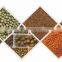 Automatic Hot Sale Large Capacity Fish Feed Making Machine with Packaging Machine