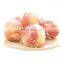 100% Natural Organic Peach Extract Powder