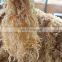 Organic Dried Eucheuma Cottonii Seaweed / Sea moss/ Irish moss From Vietnam
