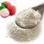 HOT SELLING INSTANT LYCHEE JUICE POWDER FROM VIET  NAM