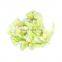 Bulk IQF Frozen Cauliflower with Green Stem