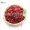 Taste So Sweet 2021 New Crop Good Tropical Fruit IQF Frozen Red Lingonberry