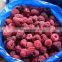 BRC HALAL HACCP organic fresh IQF Frozen Red Raspberry