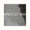 Giallo Cecilia granite slabs