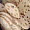 LOTUS ROOTS
