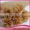 Virgin Brazilian U tip Indian temple hair extensions 100pure remy hair extension