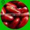 New Crop Red Kidney Beans Heilongjiang Origin