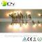Addressable IP66 12MM Pixel Led String L ight