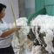 High effiency wool processing machine