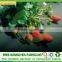 Weed Control Fabric, Ground Cover, PP Spunbond Non woven Landscape Fabric