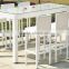 outdoor use rattan chair / rattan cafe chair in white color