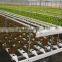 Europe Indoor Hydroponic Growing Kit for Backyard Greenhouses and Home Hydroponics