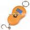 Convenient Digital Hanging Weighing Scale