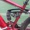Haoling Stormor electric bicycle China, electric motor bicycle china