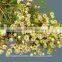 Reasonable price hot sale wholesale cheap cut foliage flower