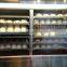 Food Display Warmer showcase Applied for Electric