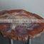 Arizona petrified wood coffee table