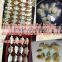 Automatic mini dumpling machine Hot for sale df-120