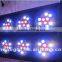 2016 High quality led the lamp 8 eye 10w RGBW 4in1 LED Beam RGBW light