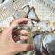 Natural Agate Slices Wholesale Crystal Stones For Sale