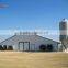 Steel Structure Prefabricated Chicken House