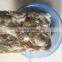 frozen Japanese flying squid roe