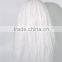 Long white silk wave wig explosion fans wig Cosplay Wig N305