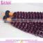 6A 7A 8A Cheap Wholesale Bohemian Purple Peruvian Virgin Kinky Curly Hair