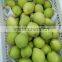 2016 new crop shandong pear for indan market