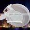 Rohs CE certificate Magnifying Lamp