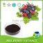 High quality Mulberry extract/Mulberry extract powder/ Morus alba L. powder