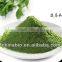 GMP Factory Supply High Quality Sodium Copper Chlorophyll Powder