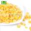 Grade A quality frozen IQF sweet corn kernel