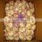 China Garlic Supplier