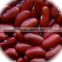 JSX Competitive price red speckled beans peeled large and small size sparkled kidney beans