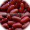 JSX peeled small red kidney beans from china selected pure red kidney bean