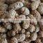 Roasted Groundnut in Shell (Large Size)
