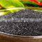 Seaweed extract Powder
