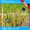 multifunctional paddy harvester / mini paddy harvesting machine price in India