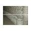 galvanized wire for bird cages