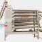 peanut and grain chain conveyor