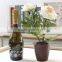 Home desktop decor silk flowers suit artificial rose bonsai