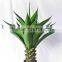 Evergreen fake tropical bonsai plants