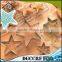 NBRSC 4PCS Baking Metal Star Shape Fruit Biscuit Pastry Cookie Cutter set