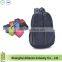 Black Outdoor Waterproof Foldable Packable Lightweight Travel Backpack